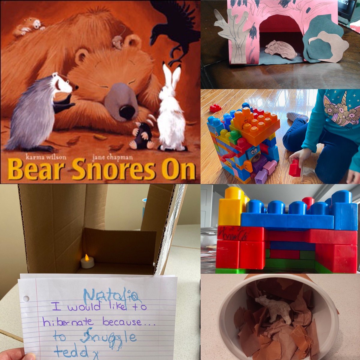 Miss_mcjohnson's tweet photo. Today kinders continued learning about hibernation! We talked about where bears like to hibernate in the winter and used problem solving skills to build our own dens for a bear 🐻❄️ kinders also observed real bears inside a hibernation den at Grouse Mountain! @Miss_SOBrien https://t.co/9bJx33fdqz