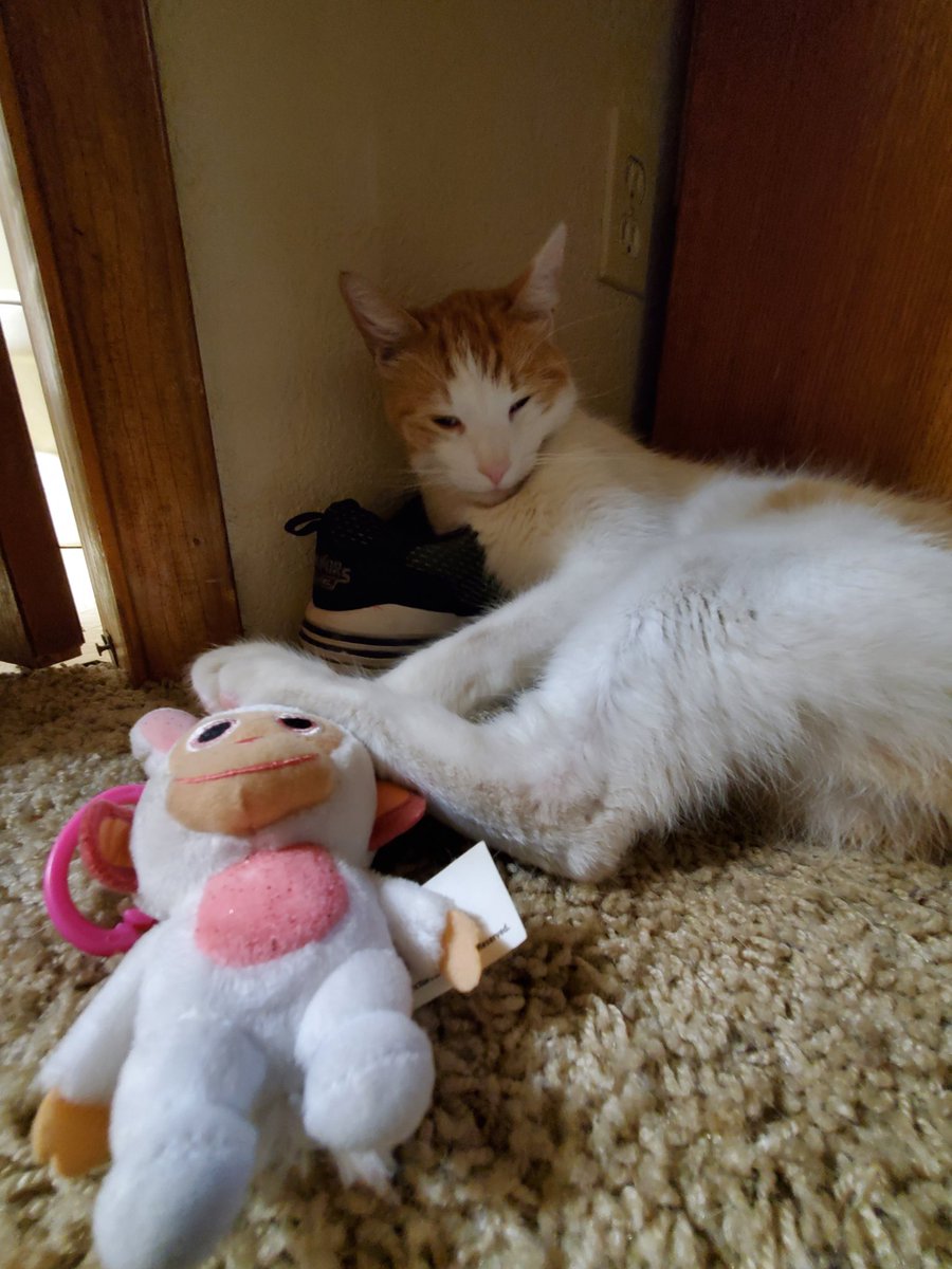 Hawt_dog (@hawtdog17) on Twitter photo 