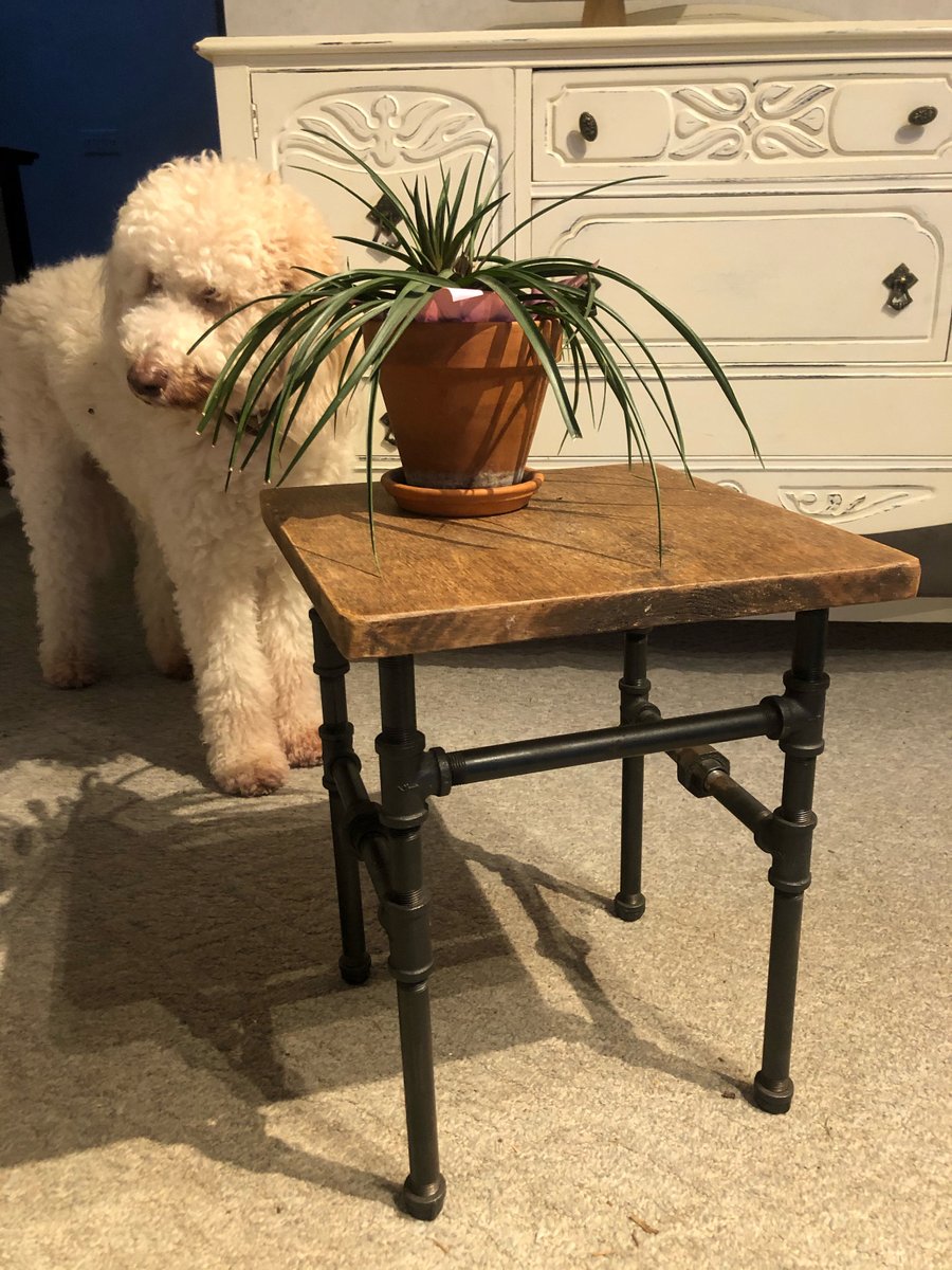 KIRBY, our newest item for sale on our web site and Etsy is a side table / stool that is known for its sturdiness and reliability. (and is loved by snickers)