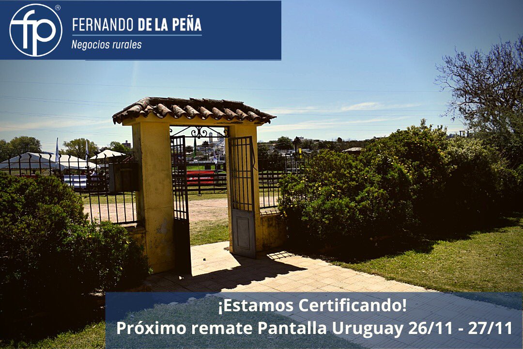 FPNegRurales's tweet photo. ¡Estamos Certificando!
Próximo Pantalla Uruguay  jueves 26 y viernes 27 de noviembre

Por más información:

44424343 - 4422947

https://t.co/ICwwp87m3p

#uruguay  #uruguayganadero #negociosrurales  #campouruguayo https://t.co/qtEeXD4id8