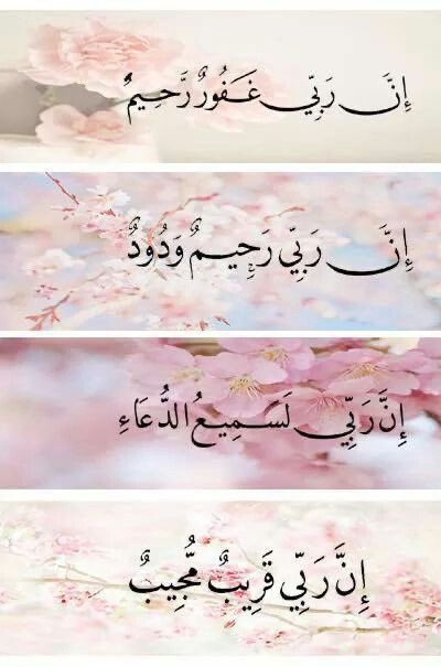 Doshah_'s tweet photo. #طعن_الاخوان_في_بن_باز  رحمة الله طعنهم لا يضره شيء https://t.co/CwyPbyWubK