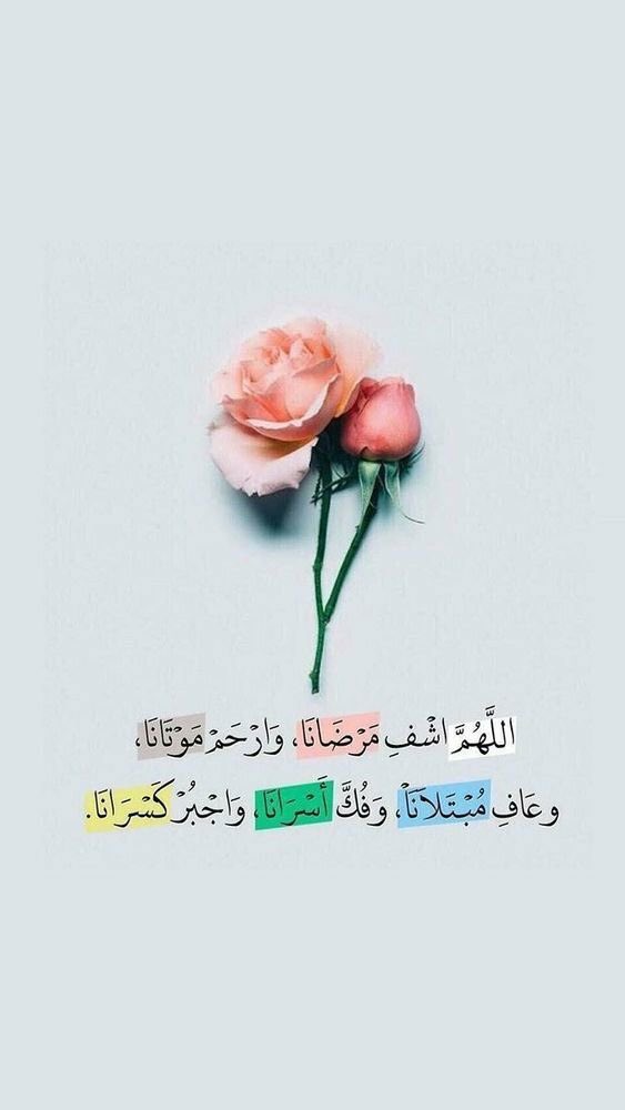 Doshah_'s tweet photo. #طعن_الاخوان_في_بن_باز  رحمة الله طعنهم لا يضره شيء https://t.co/CwyPbyWubK