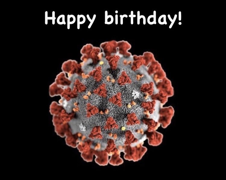 Happy birthday covid-19