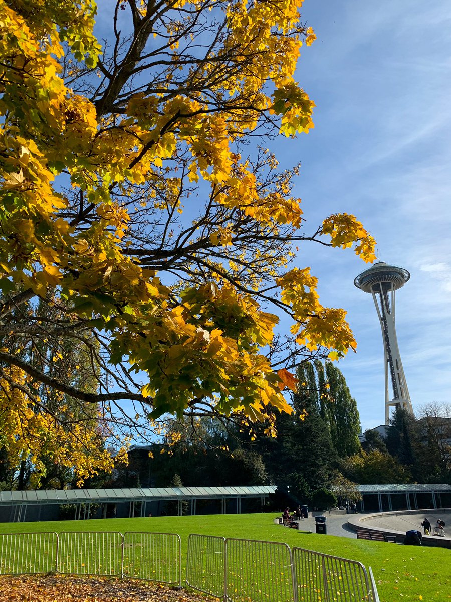 Fall 🍁 #shotoniphone