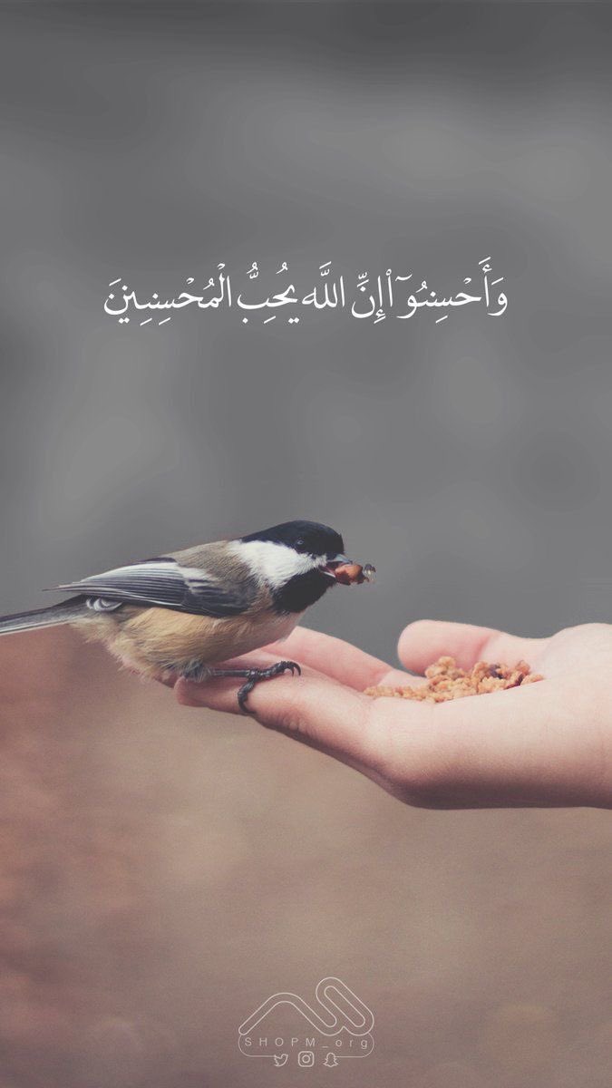 Doshah_'s tweet photo. #السنة https://t.co/BoA5ErqDKL