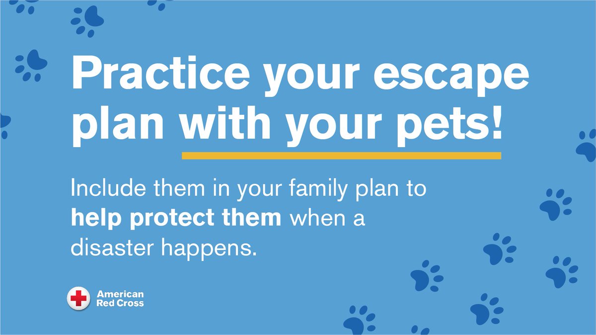 SoCal_RedCross's tweet photo. Your family’s disaster plans should include your furry family members too! Norma Alvarez, our Community Outreach Volunteer highlights what pet supplies you should have ready to go in case of an emergency or disaster in this video: https://t.co/mwj9R3QTCm #PrepareSoCal https://t.co/MyFAA5W4Oy