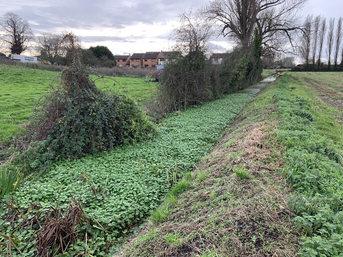 Phil Brewin tweet media