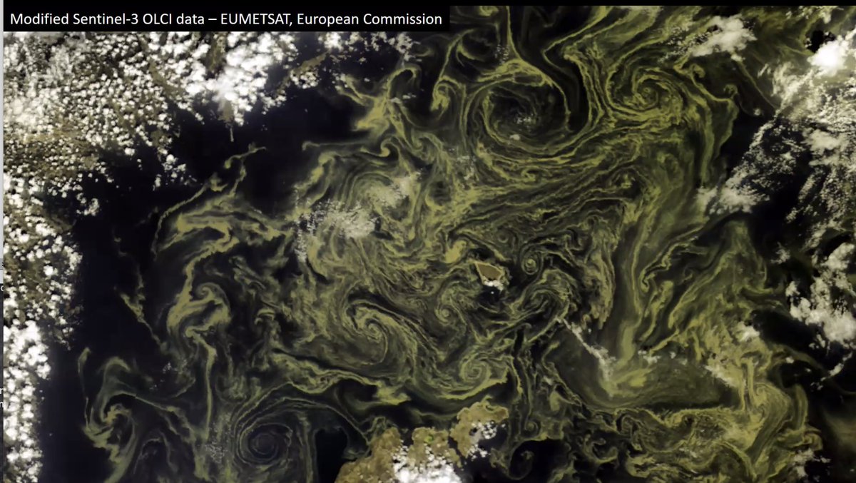 geomob's tweet photo. mapping plankton w/ satellites #geomob https://t.co/CPcvwUEP37