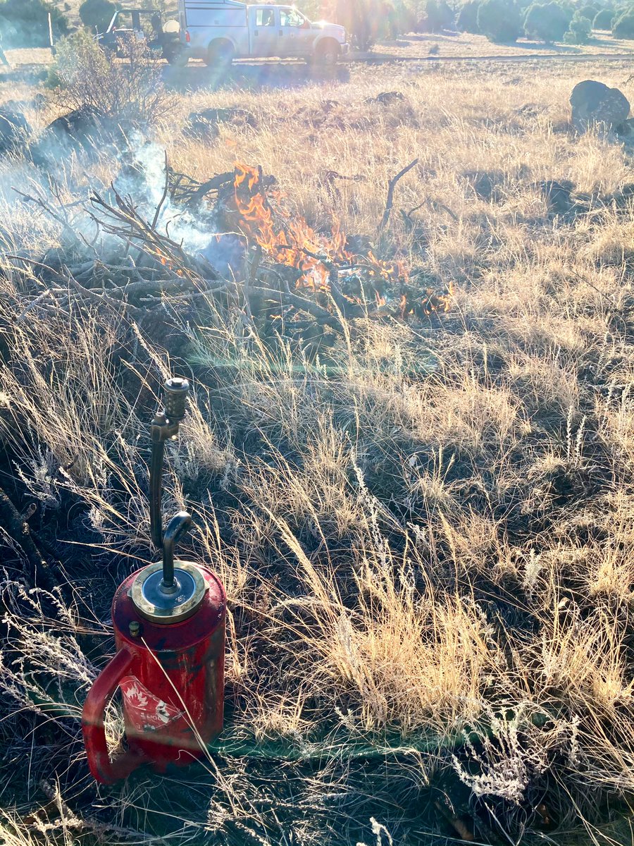 A_SNFs's tweet photo. Test burn on the Cerro Trigo Rx was successful. Fire crews will continue with ignitions. https://t.co/rztVhP2dS3