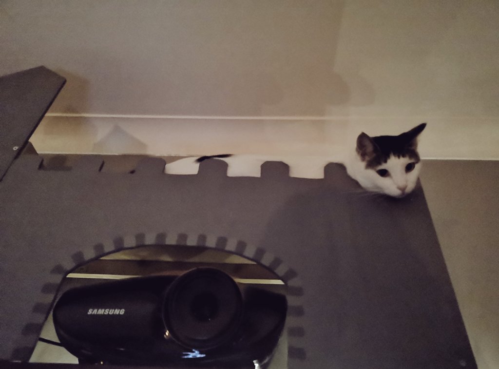 n3rdybirdy's tweet photo. Enjoying the #Debug2020 Conference with my critters by candle light (because it's a already dark here in the UK)
Loving all the talks so much ๐ https://t.co/CGTKpw62VH