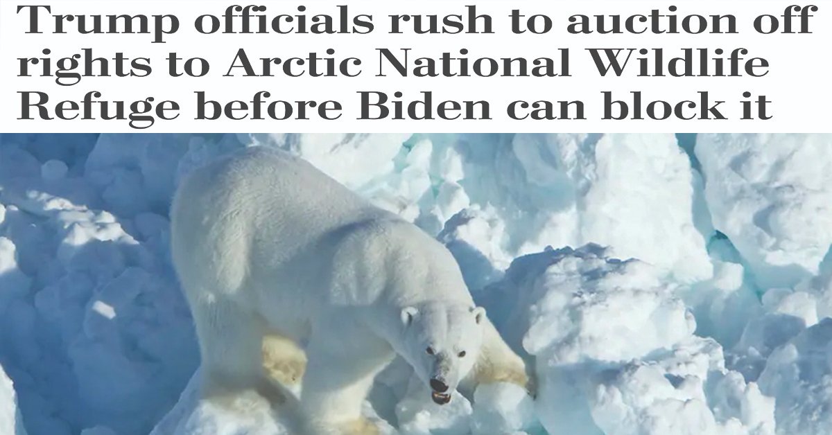 March4ElesAndRhinos (@EleRhinoMarch) | Twitter