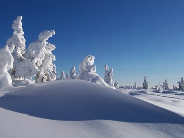 marmottewandern's tweet photo. Schneeschuh-Wanderwoche Riesengebirge 24.01.-31.01.2021 https://t.co/PyLLwax4eI   #marmottewanderreisen #Frauen #Wandern #Wanderreise #Reise #marmotte #wanderreisen #marmottewandern #schneeschuh #riesengebirge #snezka #schneekoppe #malaupa https://t.co/UUpttJjUzn
