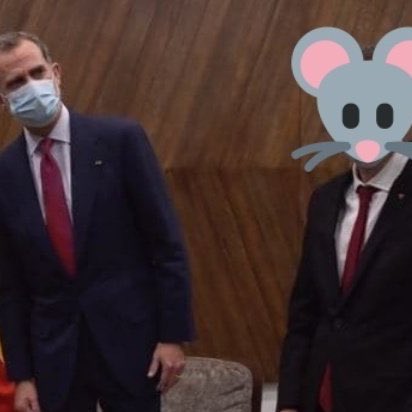 ourkidagain's tweet photo. Si os metéis en #ColetasRata cuidado porque podríais morir de la carcajada ahogados en vuestra propia saliva. Memazos top⬆️‼️ https://t.co/mdRsJbAF2a