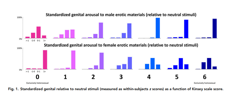 6. In fact, my comment points to a bizarre state of affairs: by their own "objective" measures one may claim that most men are bisexual, because most show attraction to more than one gender, regardless of their location on the Kinsey scale (note the % from 0 to 1+)