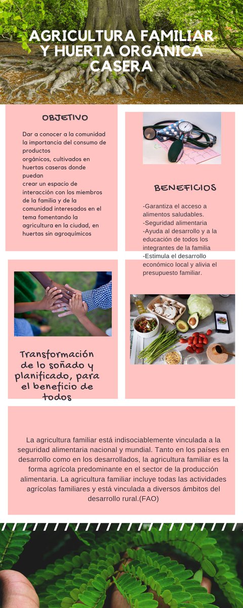 maryori lopez tweet media