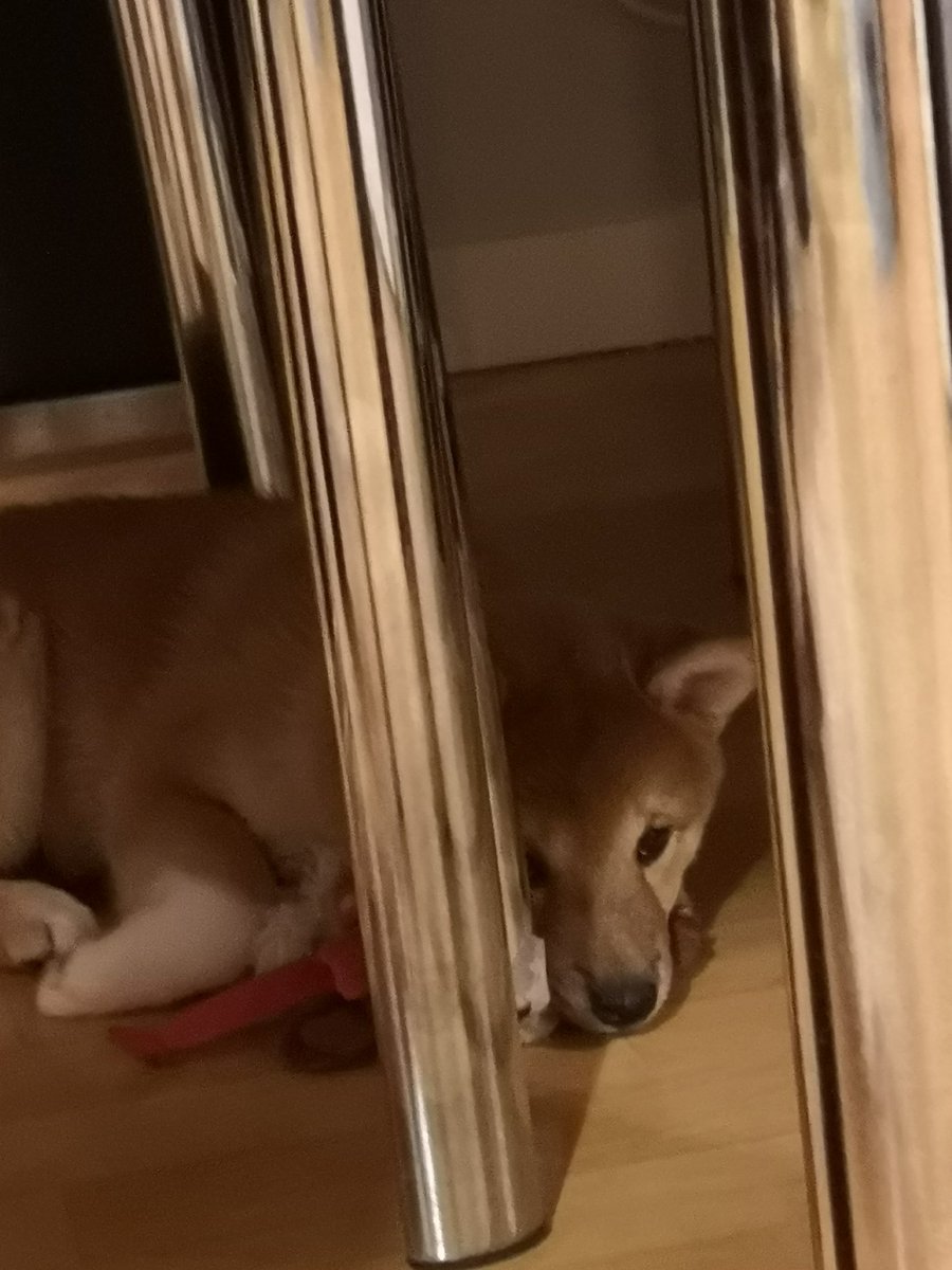 _kuukiii_'s tweet photo. Pour celles qui voulaient voir mon trésor 🤭♥️ https://t.co/vR1tHinqNE