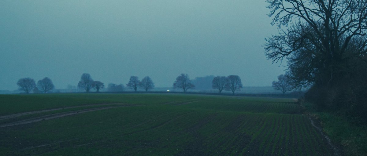 Two very different days of weather, today it was raining finely.