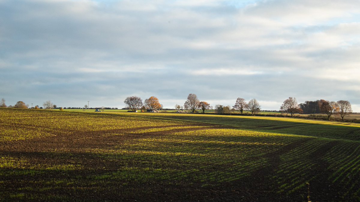 Two very different days of weather, today it was raining finely.