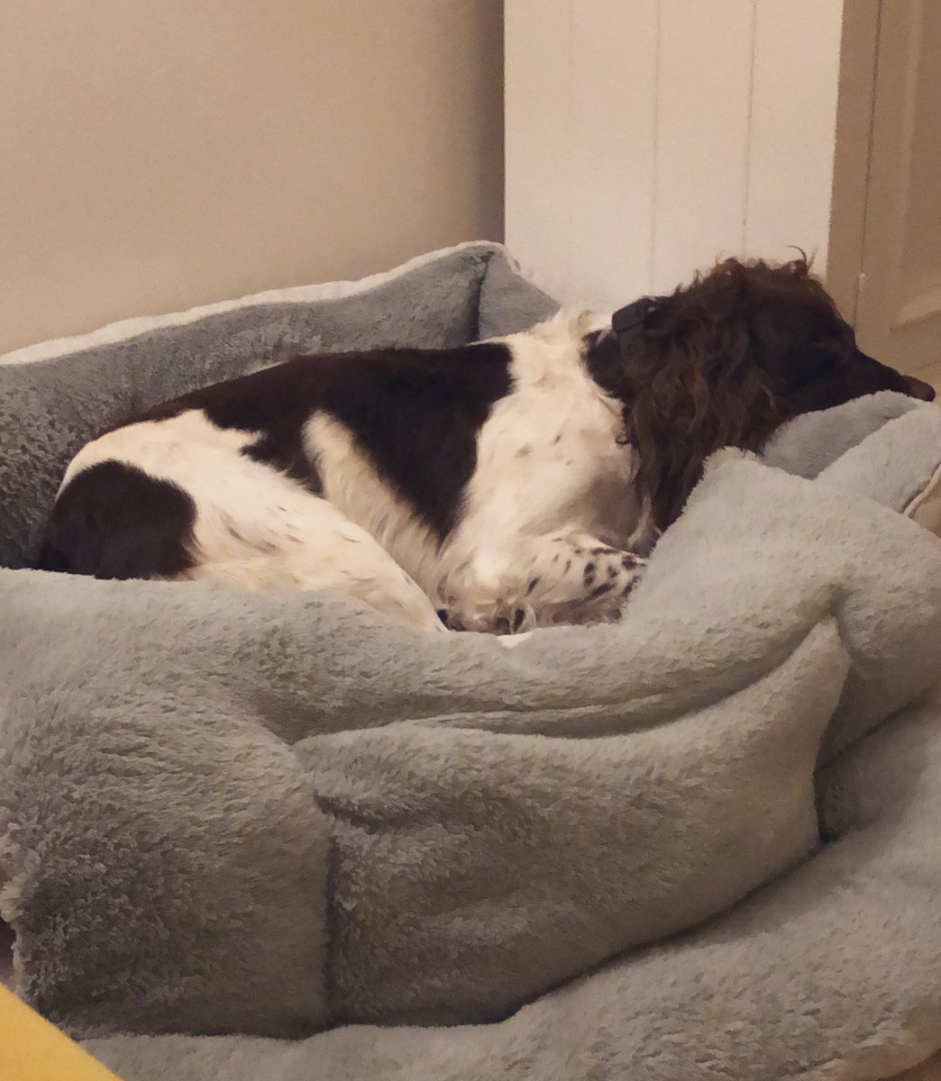 seb_write's tweet image. He’s crashed and burned, overcooked the pre drinks #BIA2020