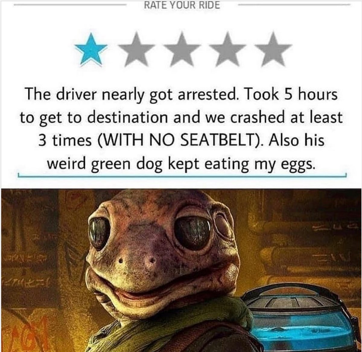 tmwimbish's tweet image. Hands done the funniest thing I've seen all day! 😂