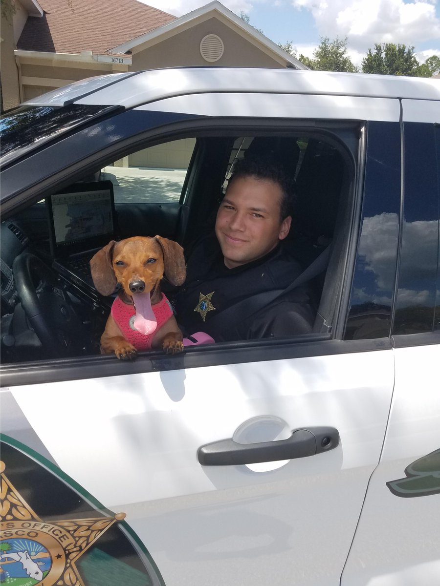 PascoSheriff's tweet photo. Kindness is never wasted! 💚 https://t.co/oXN3eaSQYU