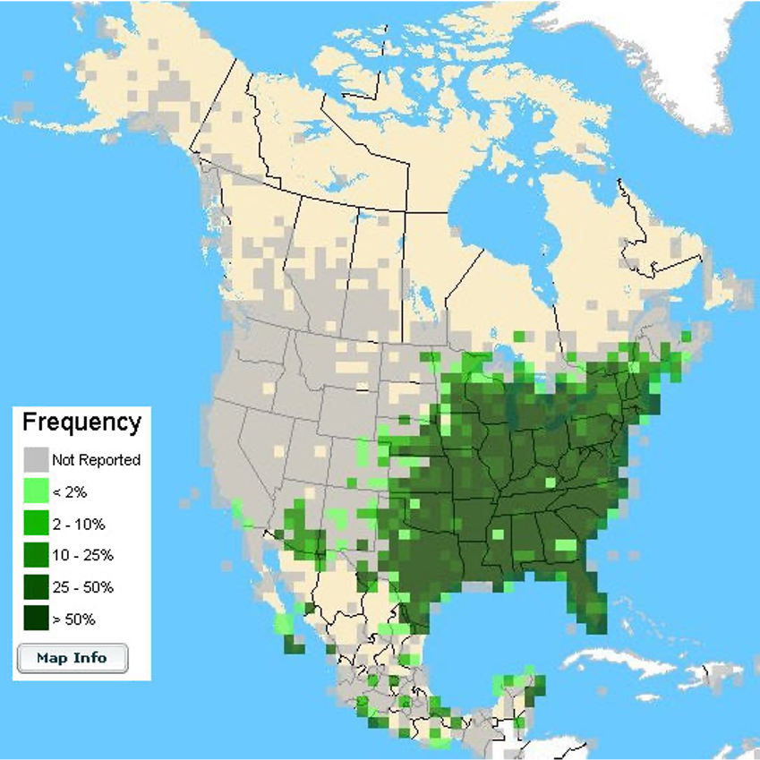 Team_eBird's tweet photo. #eBirdingthroughtime to 2011 when #eBird v3 introduced Alerts, Top100, improved range maps, and the ability to enter and explore bird observations from anywhere in the world. Compare the pre-2011 species map for Northern Cardinal (green) to one from today (purple) #eBirdLife https://t.co/eYKqn2r1ux