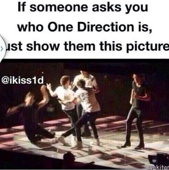 forever_1DHLZLN's tweet photo. oBviOusLy...ππ #OneDirection #ZaynMalik #funny #LiamPayne #NiallHoran #LouisTomlinson #HarryStyles #OneDirectionMissYou β€οΈ https://t.co/XKhK1Ka7nt