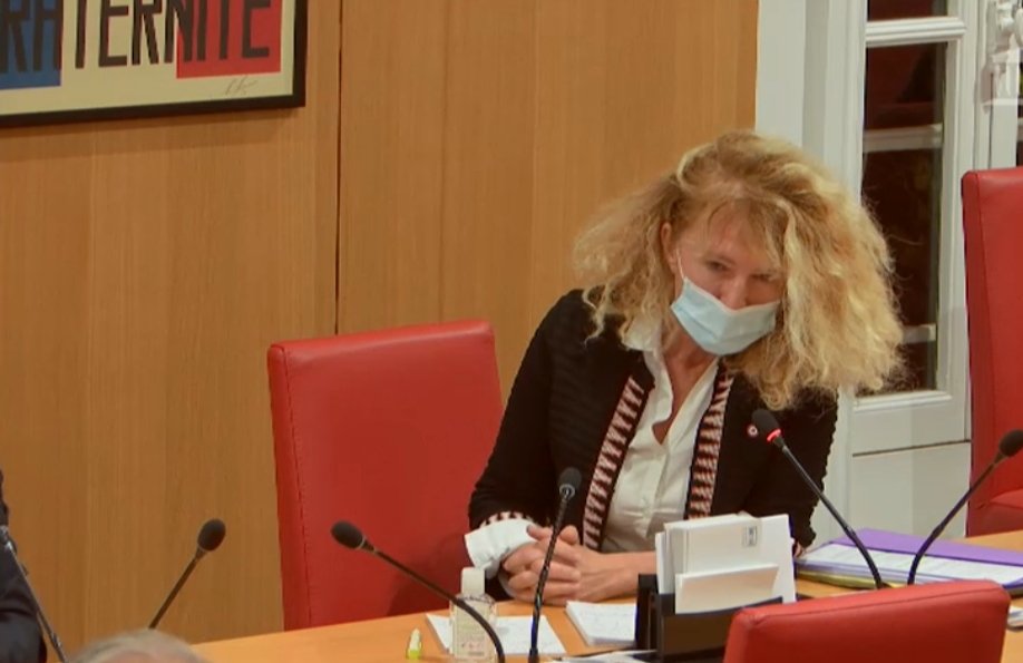 EPLibertes's tweet photo. En #DirectAN Audition de @JeanCASTEX sur la crise #Covid_19 . Le premier ministre me répond et affirme qu'il n' y a ABSOLUMENT AUCUN traitement . C'est INADMISSIBLE. Et nous resterons "bridés" tant que nous ne serons pas tous vaccinés! #confinement
#EtatdUrgenceSanitaire #Masque https://t.co/wQn19TG0MH