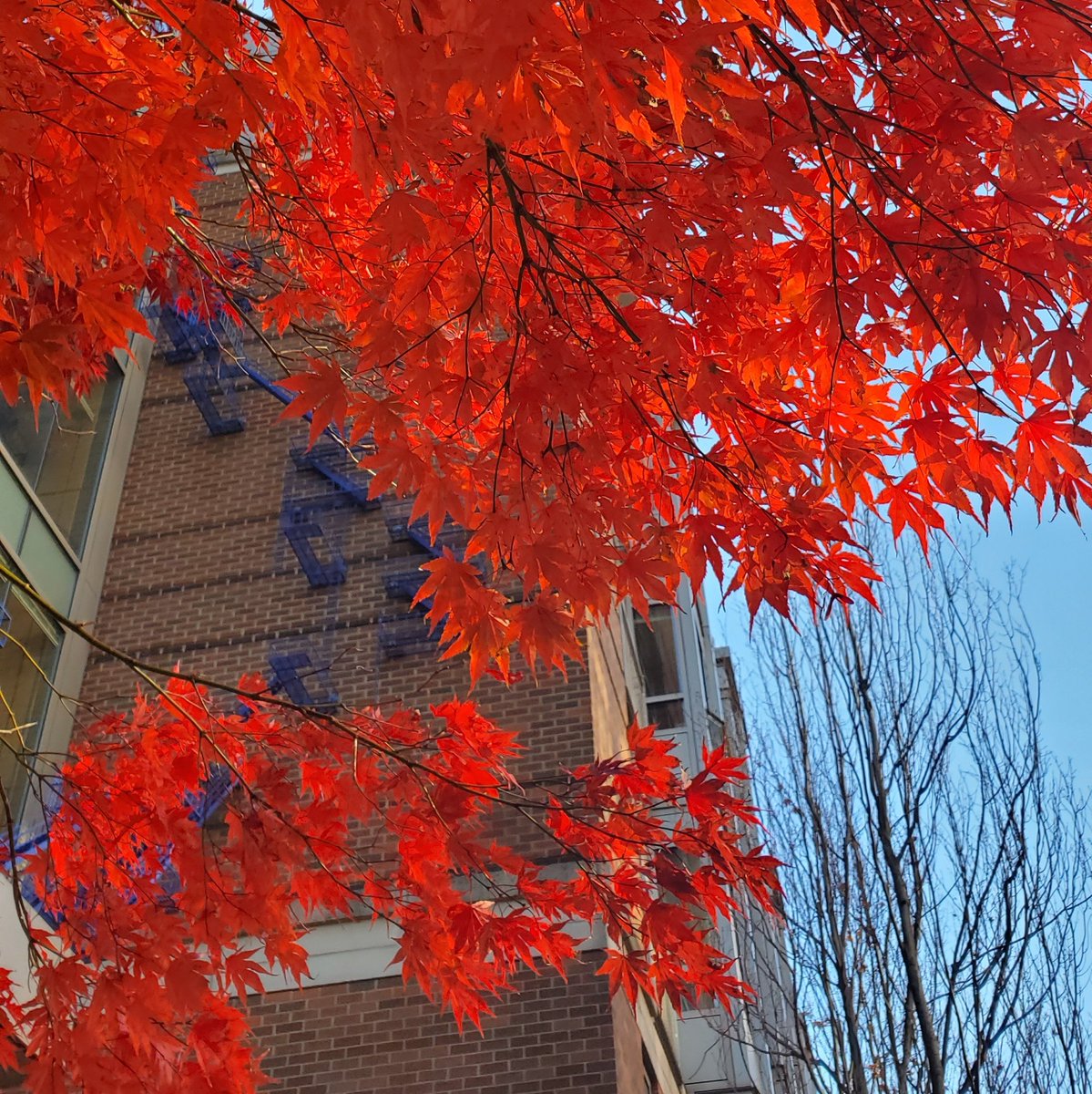 Noor Titan tweet media