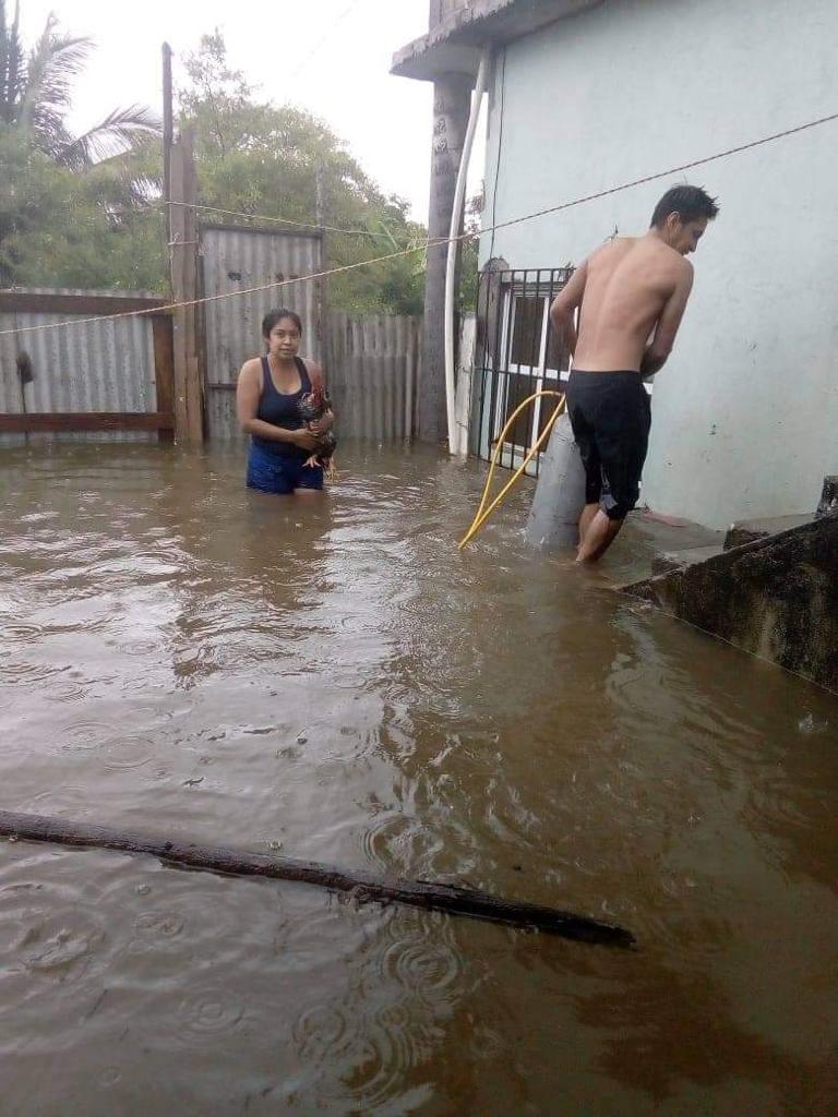 AnayanziDavila's tweet photo. #AMLOHundeTabasco https://t.co/2AlJ5oo12e