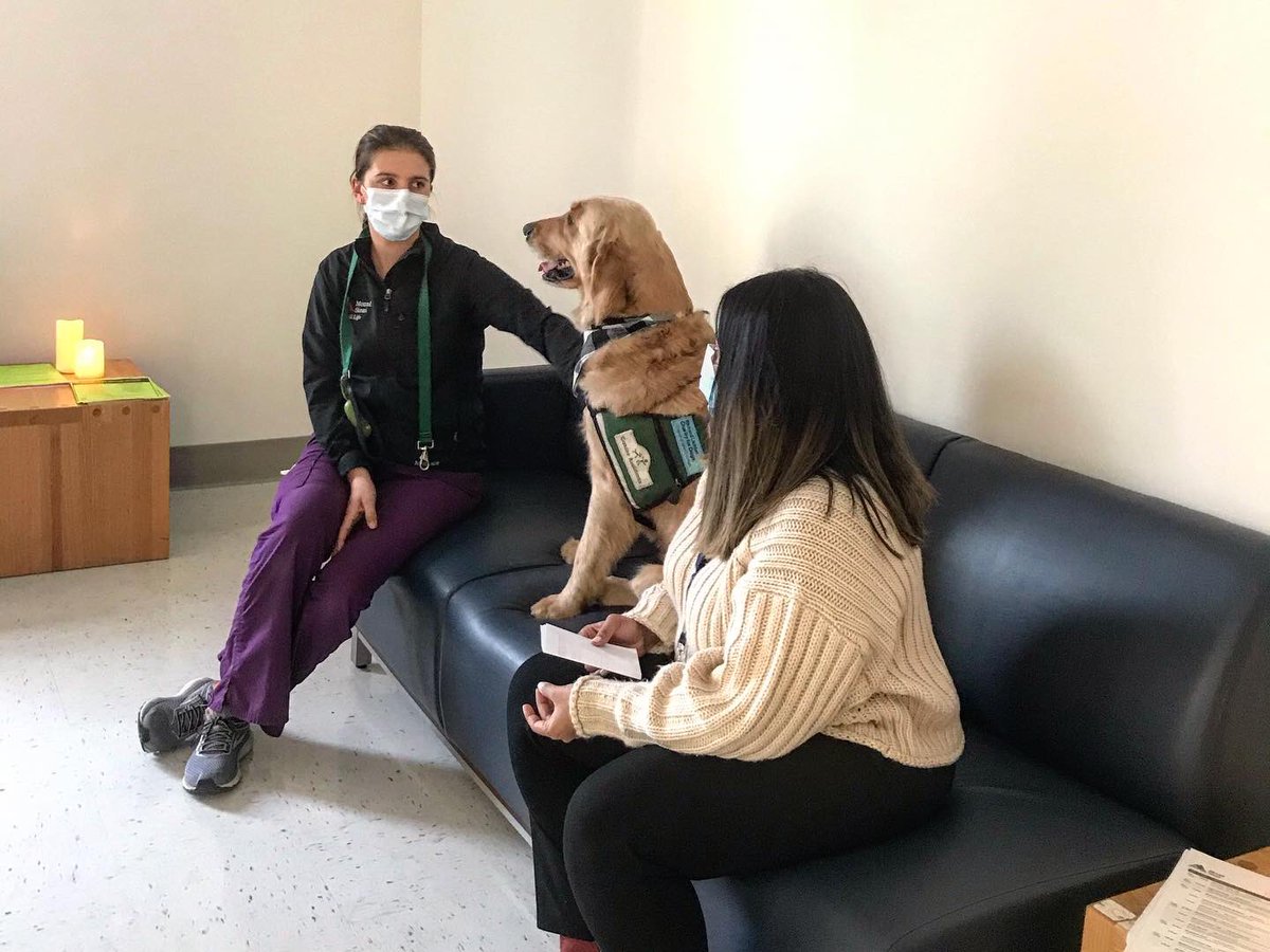 amylucie's tweet photo. Soft opening of our wellness space was a success, thanks to the addition of a special guest!  Huge thanks to Moby from @MountSinaiNYC for helping our @MSMorningside staff relax.  #dogsrule #PAWsitive https://t.co/DBRQ3wSDhv