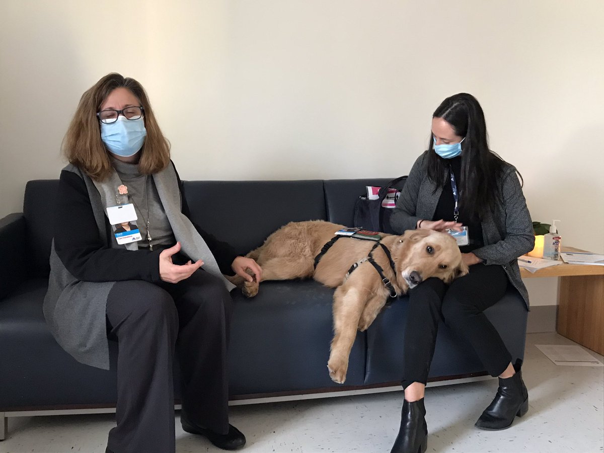 amylucie's tweet photo. Soft opening of our wellness space was a success, thanks to the addition of a special guest!  Huge thanks to Moby from @MountSinaiNYC for helping our @MSMorningside staff relax.  #dogsrule #PAWsitive https://t.co/DBRQ3wSDhv