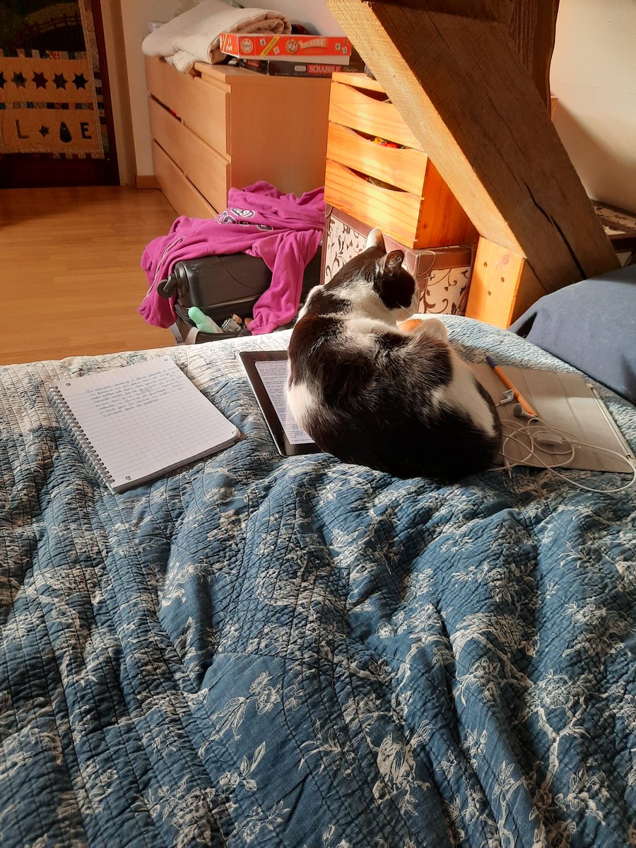 Sinon cet après-midi je l'ai passé a traduire comme j'ai pu le chapitre 21 de Teasing is our game avec mon chat qui a pris d'assaut ma tablette