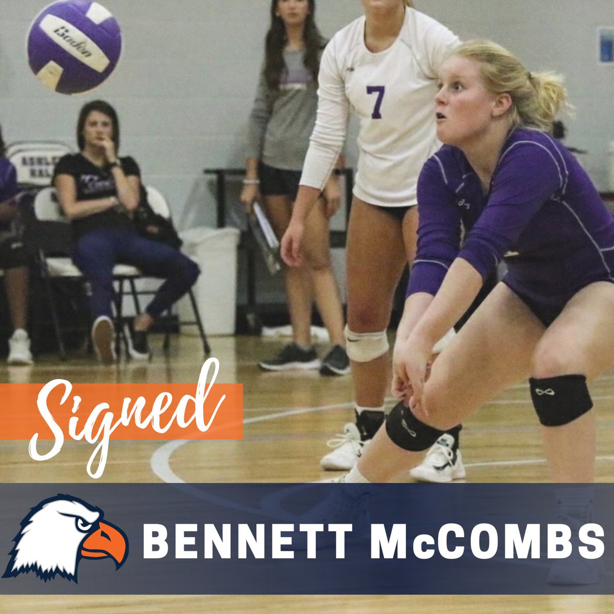 C-N Volleyball tweet media