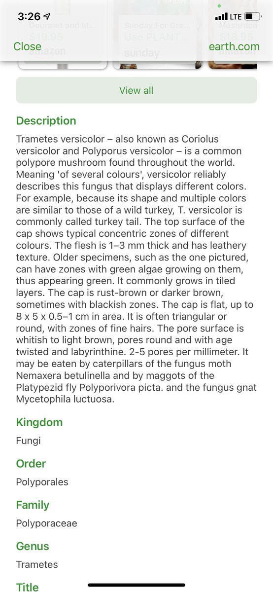 KittyHelm's tweet photo. Fungi identification! #plantsnap I love the layers on this “Turkey tail.” It’s great food for caterpillars! #EDU431 #elonEd #enviroEd https://t.co/HS8ge9CKNv
