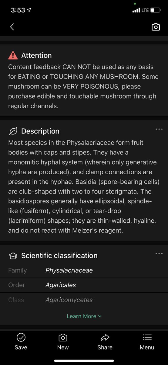 KittyHelm's tweet photo. “Physalacriaceae” apparently it’s “VERY POSIONOUS”! Scary! Love the yellow color. Generally circular or tear-drop shaped. #EDU431 #eloned #enviroEd https://t.co/Jnu18WG8YE