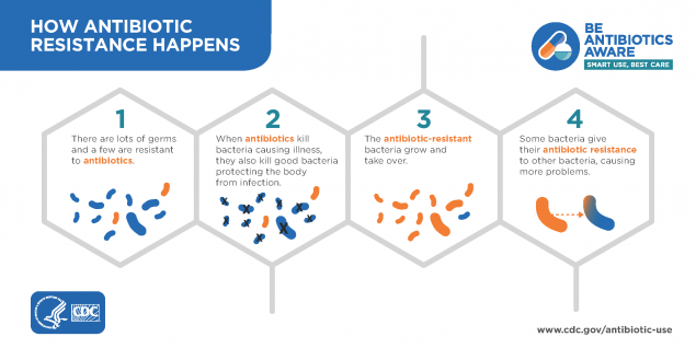 em203abisbee's tweet photo. The following image depicts a concise explanation of antibiotic resistance and how it occurs. (Centers for Disease Control and Prevention, 2020). #EM203Problems https://t.co/qJ1R6h1c6e
