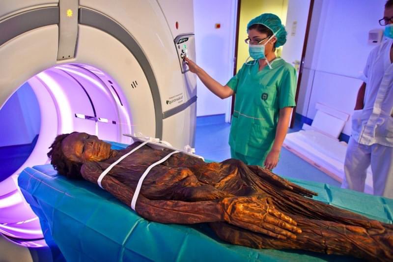 Por lo menos te dieron cita.