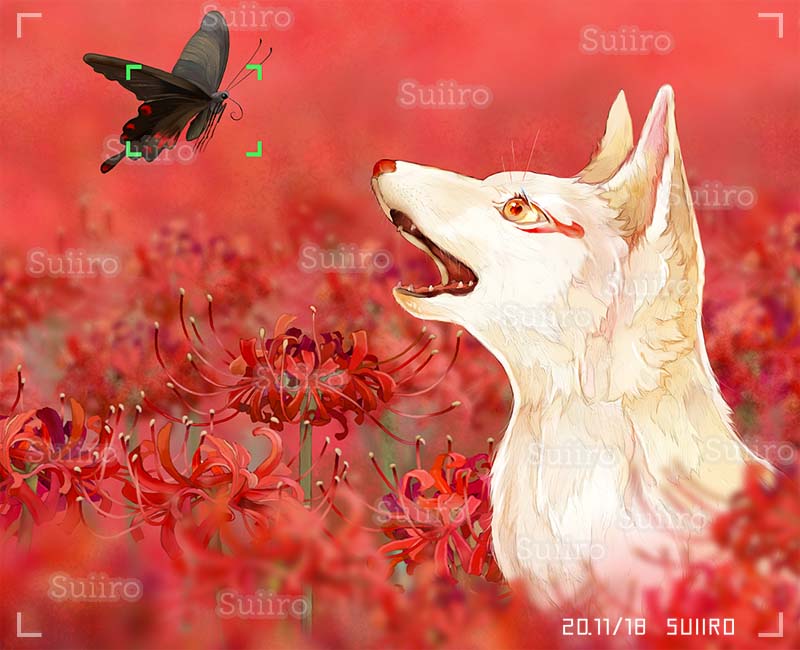 彼岸花を見に行ったら いい瞬間を目撃しました 創作狐見 せて 芸術の秋という すいいろ 動物画家のイラスト