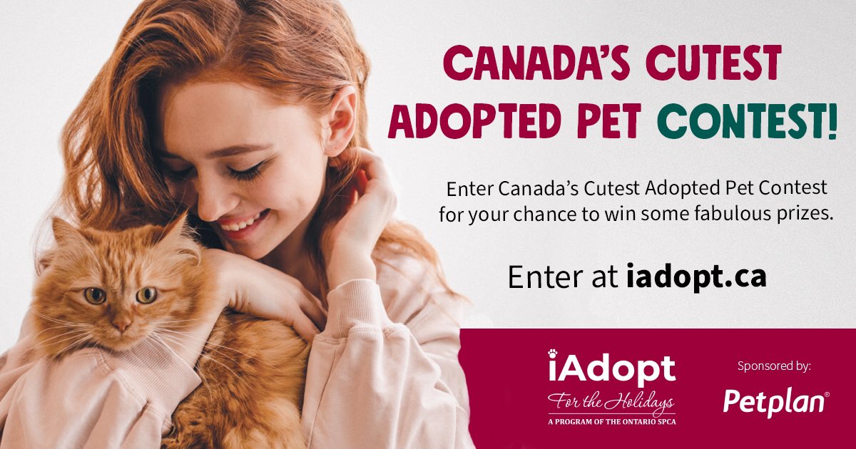 WildRoseHumane's tweet photo. Last year, close to 3,330 animals from across Canada found forever homes during the iAdopt for the Holidays campaign. 

WRHS is working with the iAdopt to help animals find a home for the holidays. 

Visit https://t.co/hSFmq1VxVe https://t.co/gybxrW0BkY