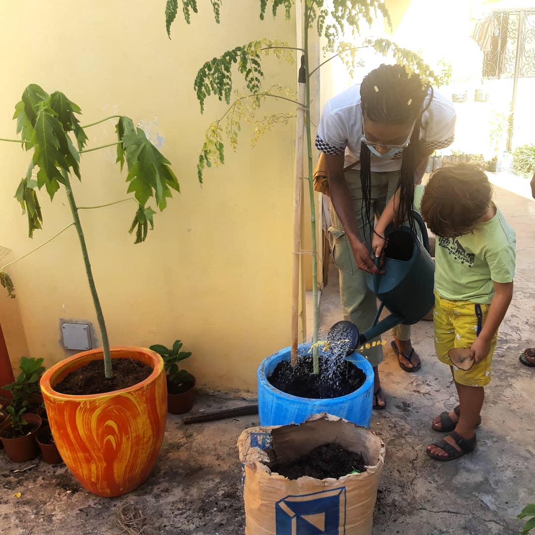 ALatouri's tweet photo. Cours de rempotage de #moringa et de #papayer sur la terrasse :)
Ensuite nous avons fait du paillage aux pieds des plantes pour conserver l'humidité
#dakar #toitvert #terrasseverte #potagerurbain https://t.co/YiOg04K3JM