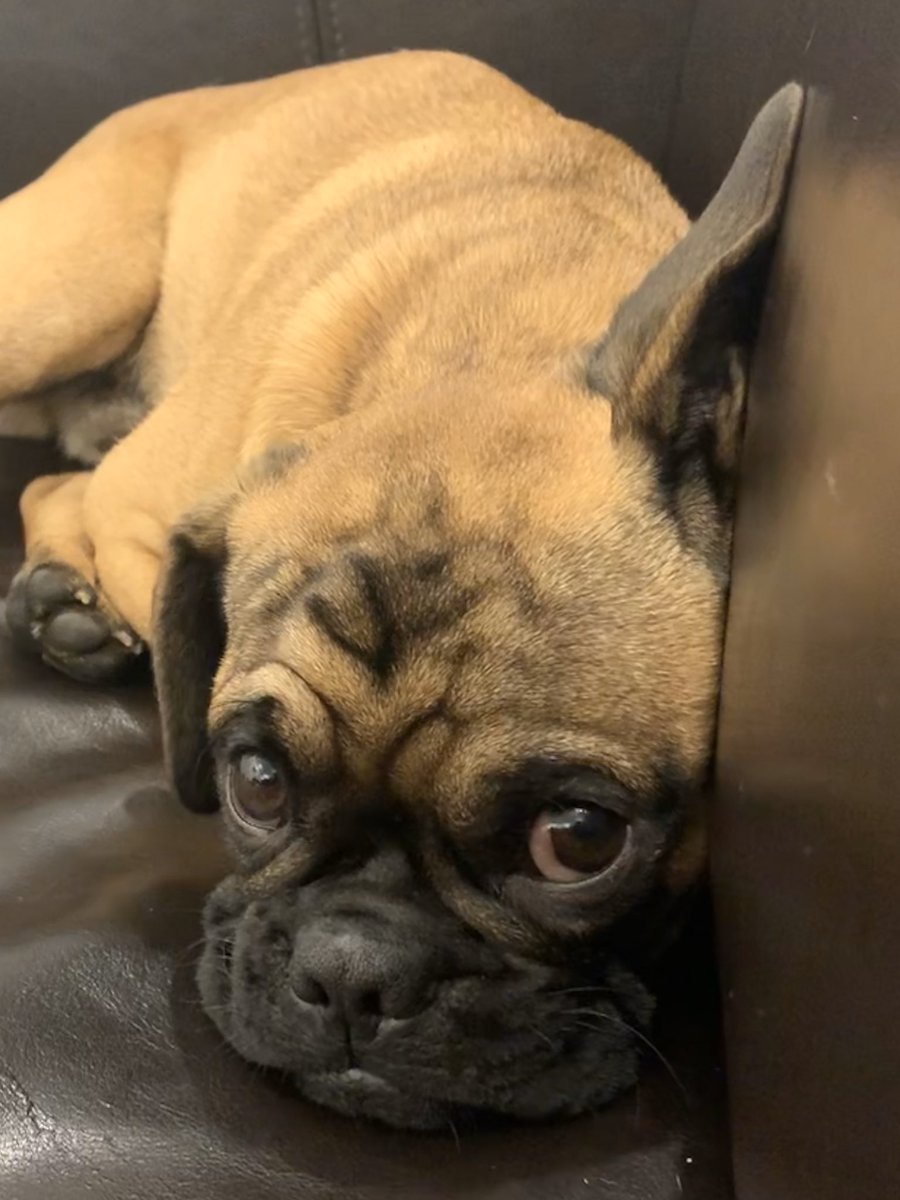 ShineboxInc's tweet photo. Thor just heard that you can still buy a Tour quality hat made for most OEM’s and your pro shops, keystone them, and sell those same lids for under 35 bucks. That got his attention, and it should get yours! Since when was it ok to pay more that 20 bucks wholesale for a cap? https://t.co/W1vtFtOZyw