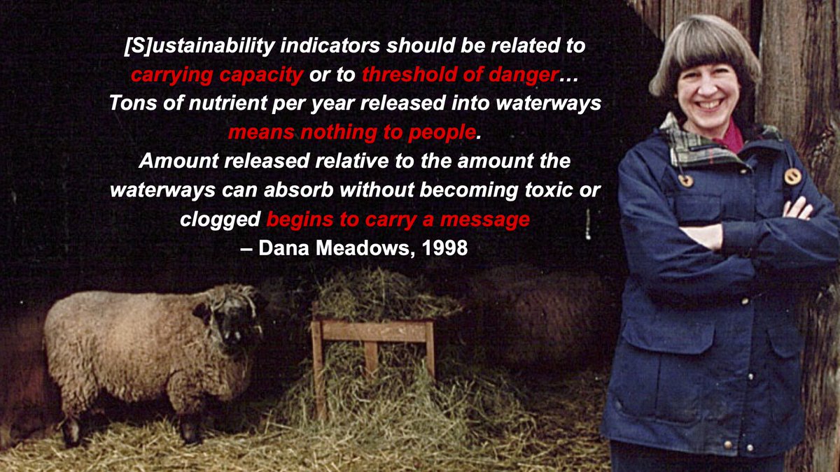 "Donella Meadows, one of the authors of the seminal 1972 Limits to Growth, said…“[S]ustainability indicators should be related to carrying capacity or to threshold of danger…"