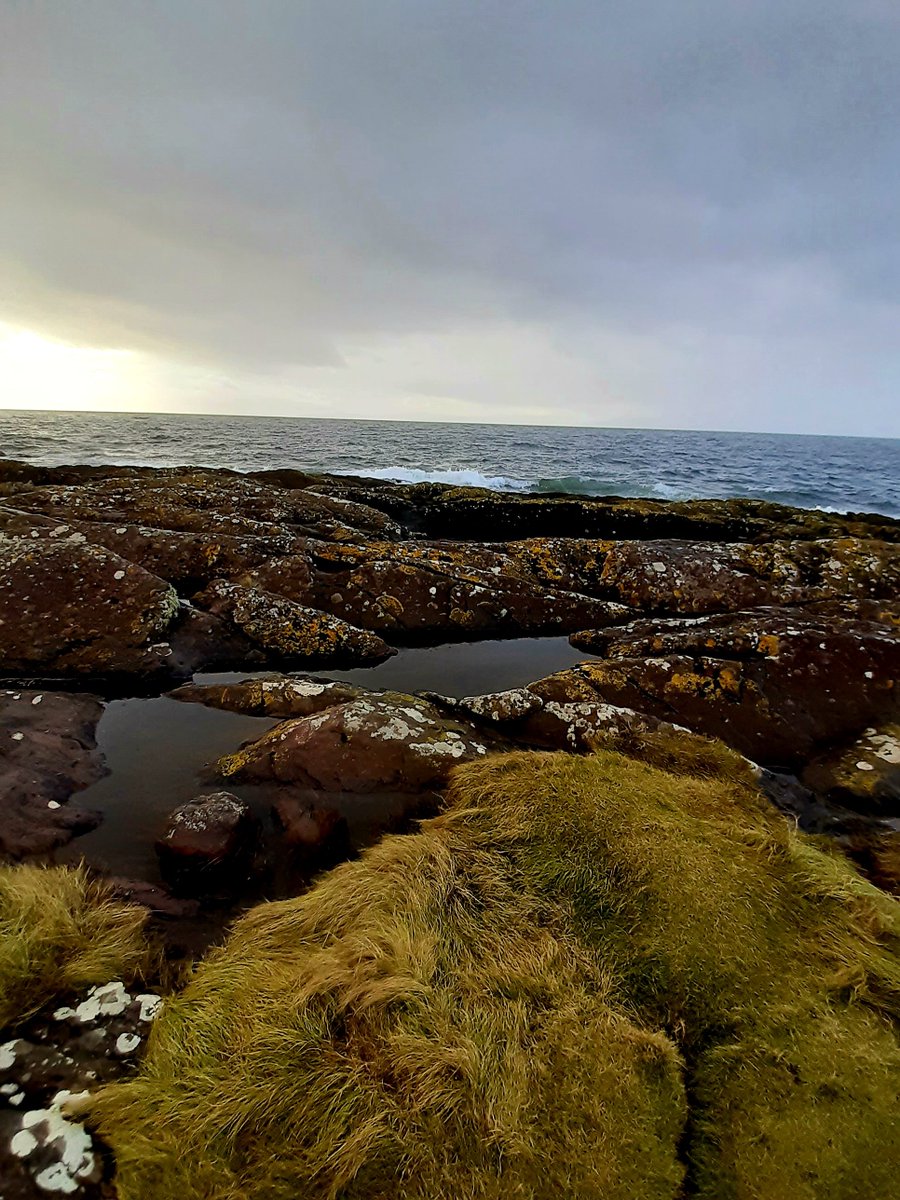 BloodyPolitics's tweet photo. West Coast Wombling Free ๐ฆ
#lockdownlols #scotlandhour https://t.co/liCDcxkOSV