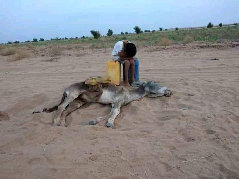 اليمن المهدد.. فقر ويتم وإعاقة لجيل المستقبل ووداع لأروع شبابنا.