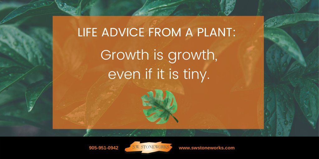 SWStoneworks's tweet image. Here is some life advice from our green friends! 🌿🌱 

As we evolve and develop ourselves, we need to know that change takes time and that even the tiniest amount of growth matters.

#swstoneworks #Bolton #Caledon #KingTownship #NewTecumseth #Alliston #Belfountain #naturalstone