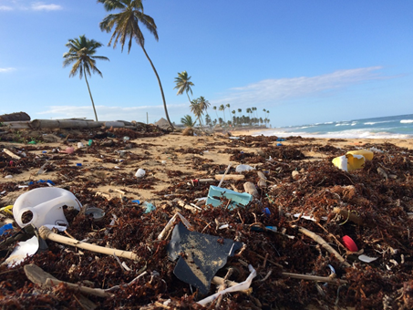 thrivability_m's tweet photo. Weโve all heard it. Cut out plastics. Plastic is bad.
What can we do to cope with this growing environmental challenge?
Here are Seven Ways to Reduce Plastic Waste at Home: https://t.co/6mY4zpB96D
Which of these do you practice?
Share other actions in the comments.
#cutplastic https://t.co/HKZ5qIkqf2