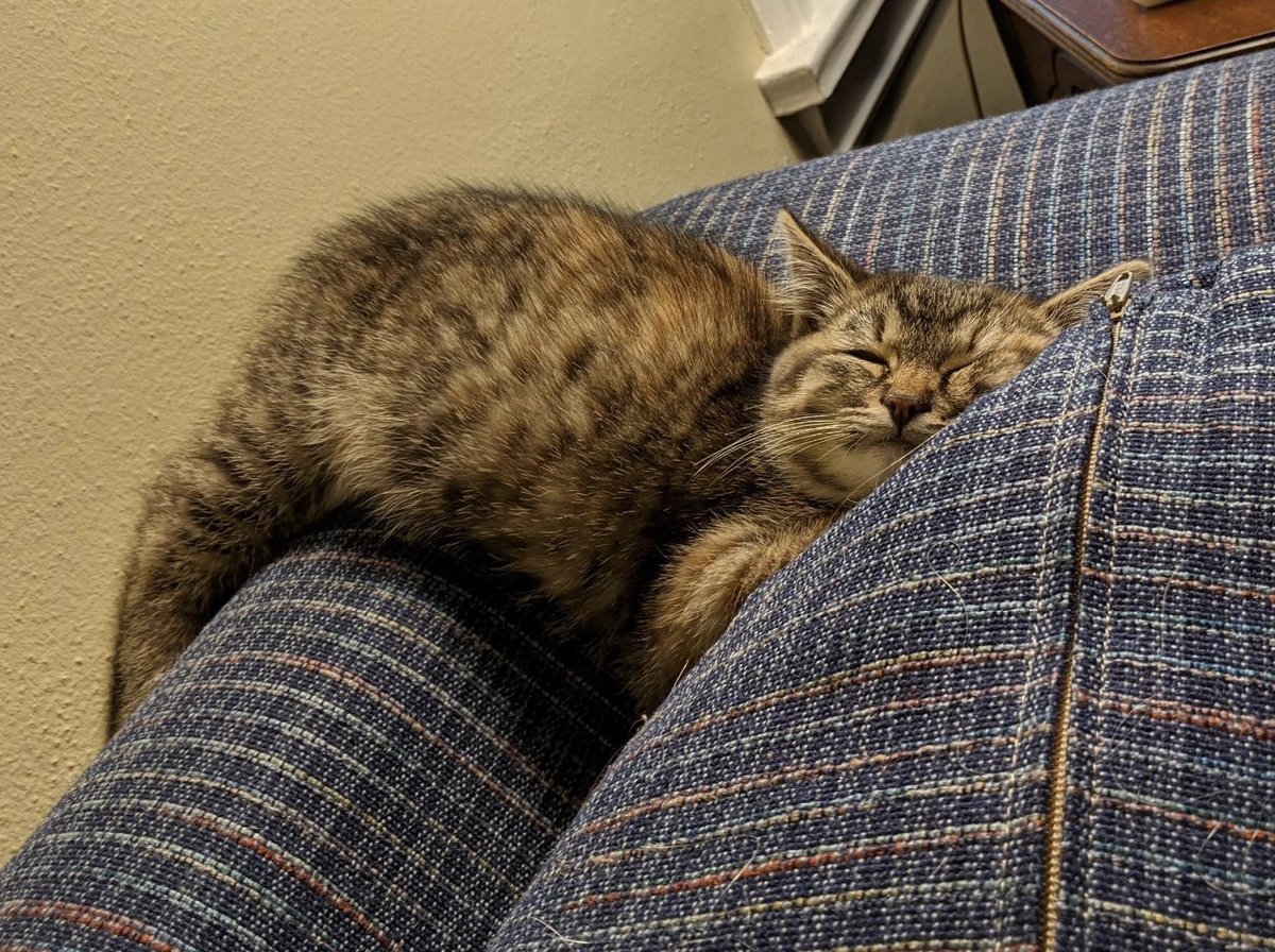 Eli Duke tweet media