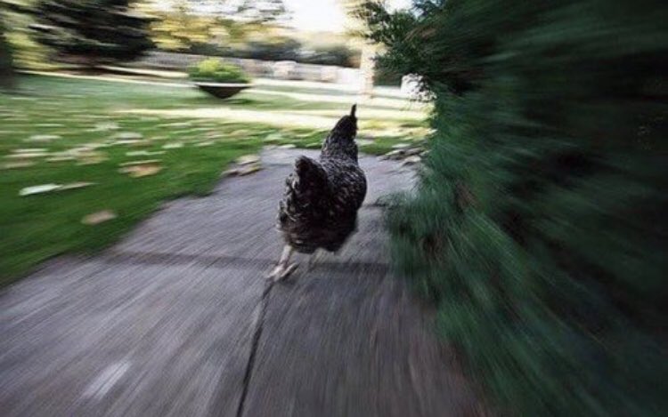 imaceleb21's tweet photo. Nobody:

Literally nobody:

Mo running around camp🤣 

#ImACeleb #ImACelebrity https://t.co/V4rj2Ufz42