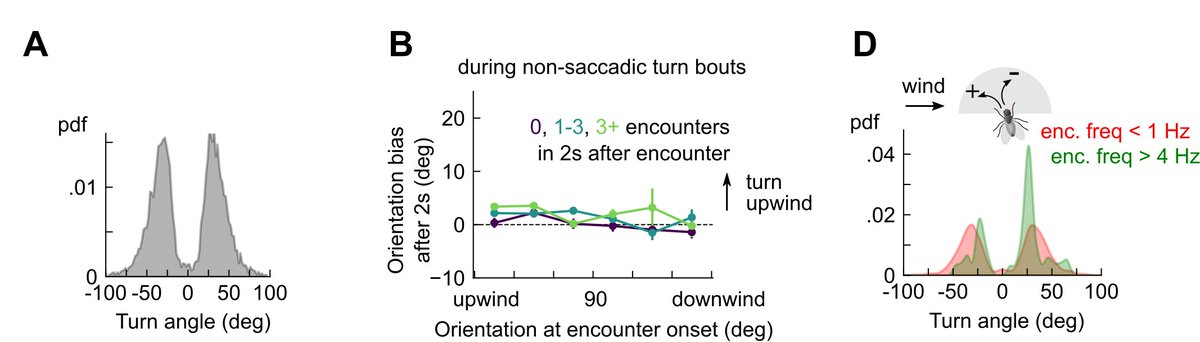 In these rapidly fluctuating odor plumes, flies adopt a stochastic navigation algorithm. They use the frequency of odor encounters to assign probabilities to their turn and stop behaviors. As frequency increases saccadic turns to upwind becomes more likely.